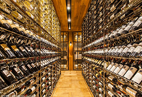 ϲg㙉ɫϵоƽѾƹ